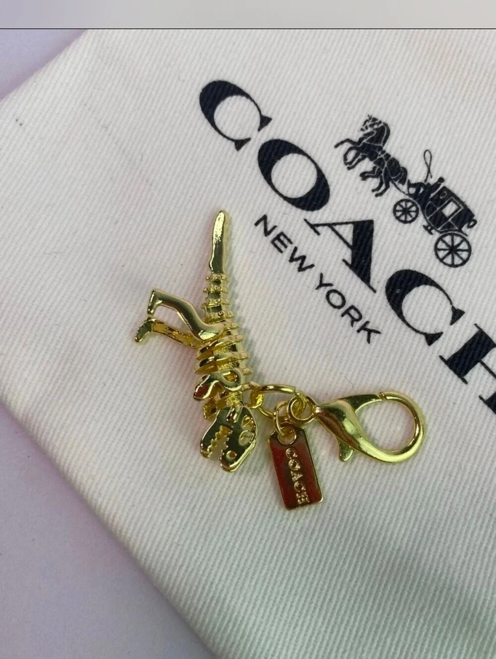 COACH Mini Rexy Bag Charm